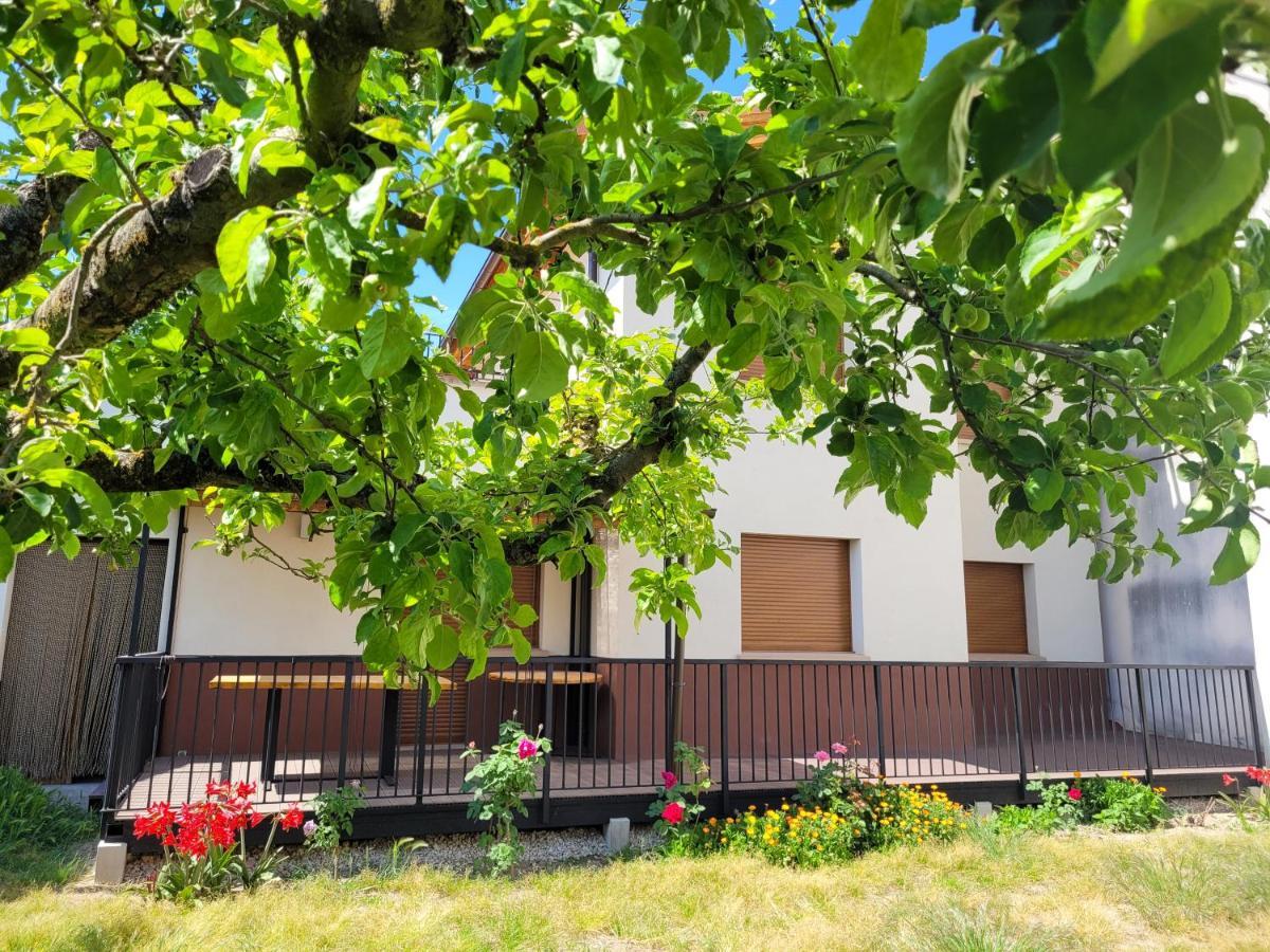 Casa Julio, Bonita Casa Comoda Y Espaciosa, Totalmente Reformada Con Terraza Y Jardin Privado Riezu Zewnętrze zdjęcie